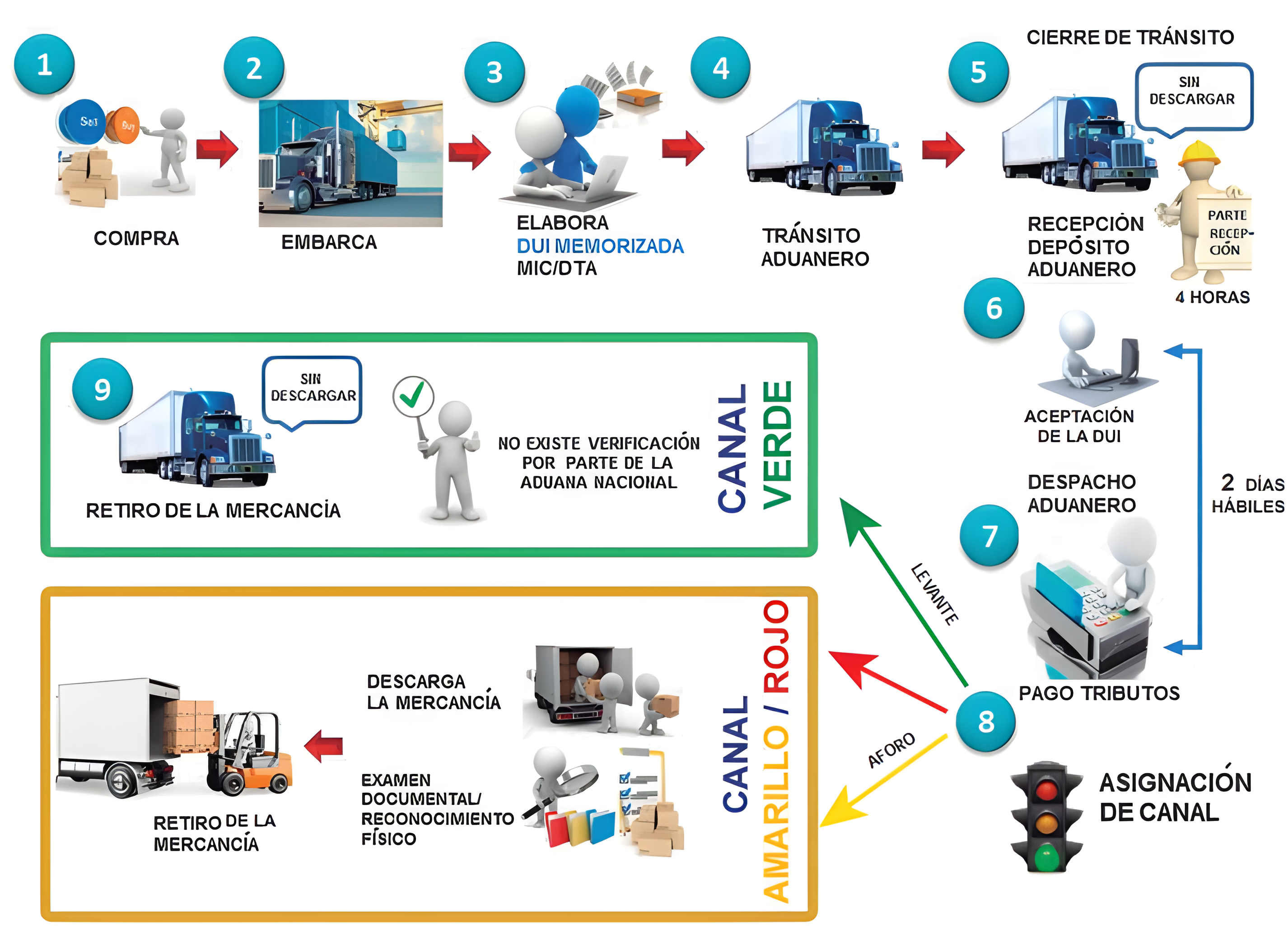 Importación a consumo